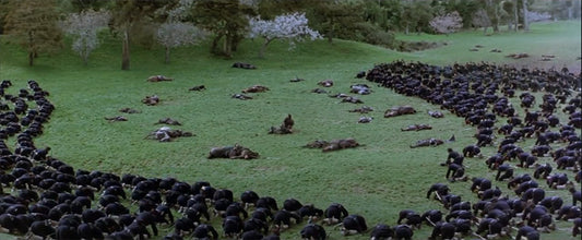 FINAL CHARGE